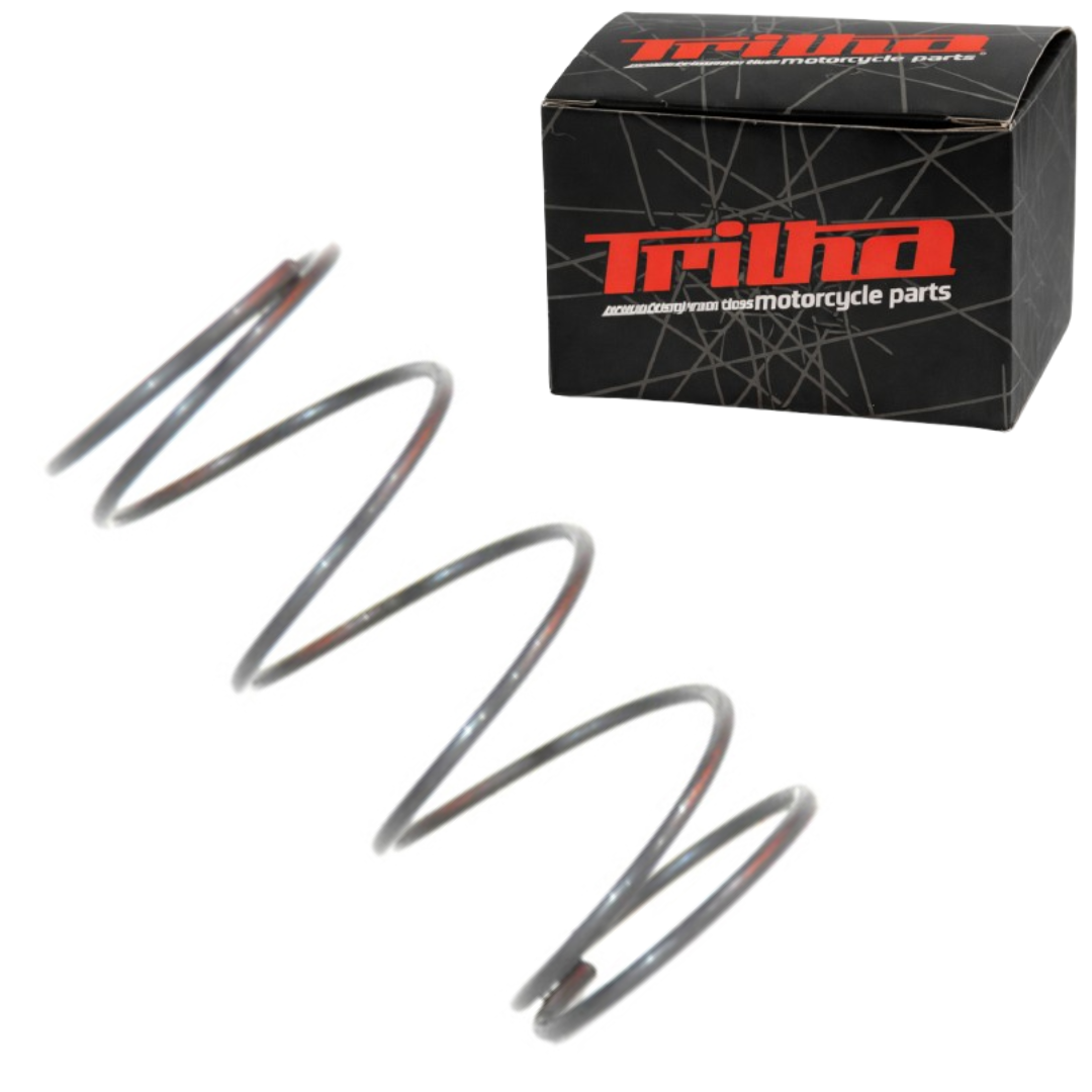 36969df9ed1a16c370c74813112822e4.png Mola Da Tela Do Filtro de Oleo TITAN TODAY FAN XLR XR CBX - Imagem 1