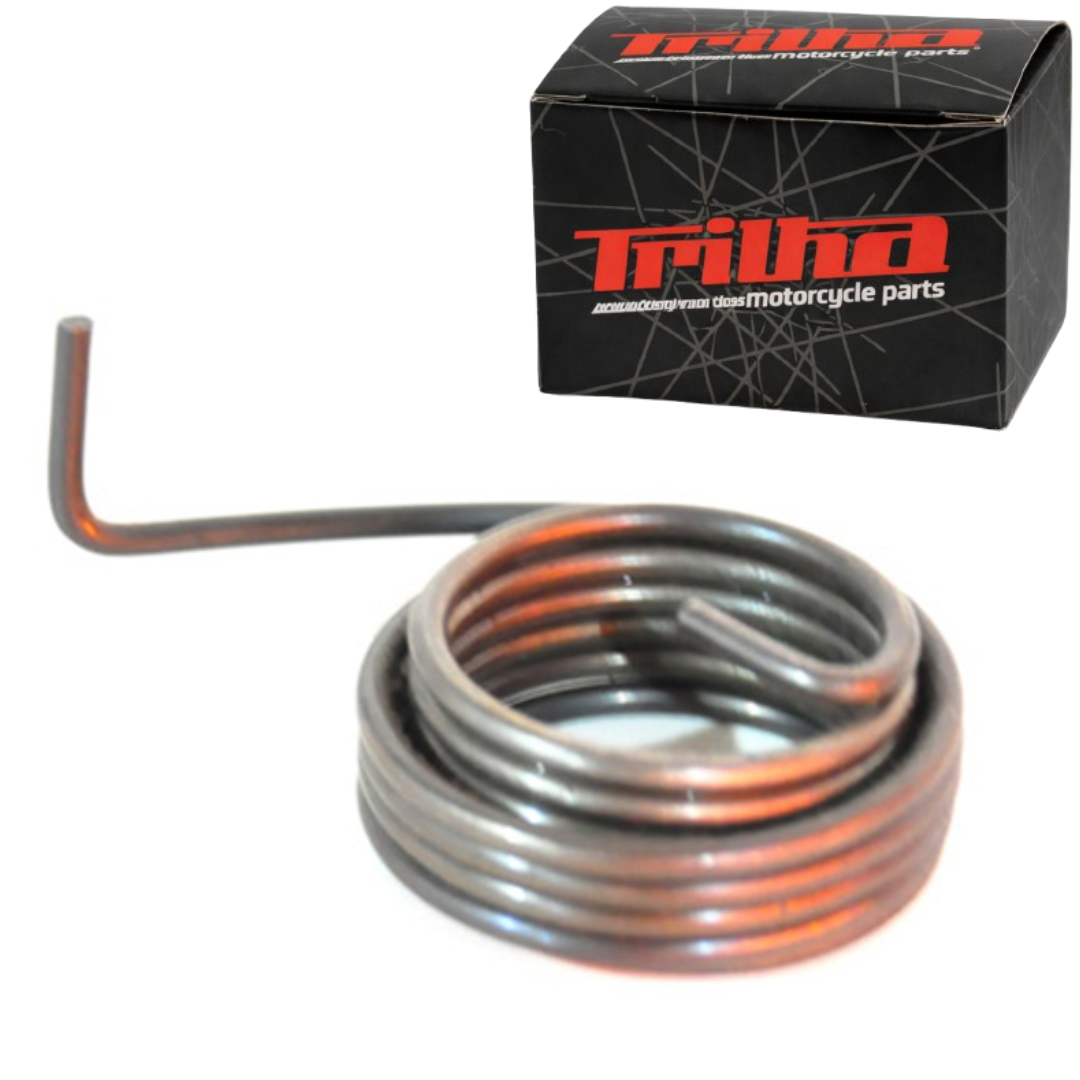 3b4a02554b7bbc9e6bd2234c0b402d24.png Mola Do Pedal De Partida XTZ125 YBR125 FACTOR125 RD135 DT180 - Imagem 1