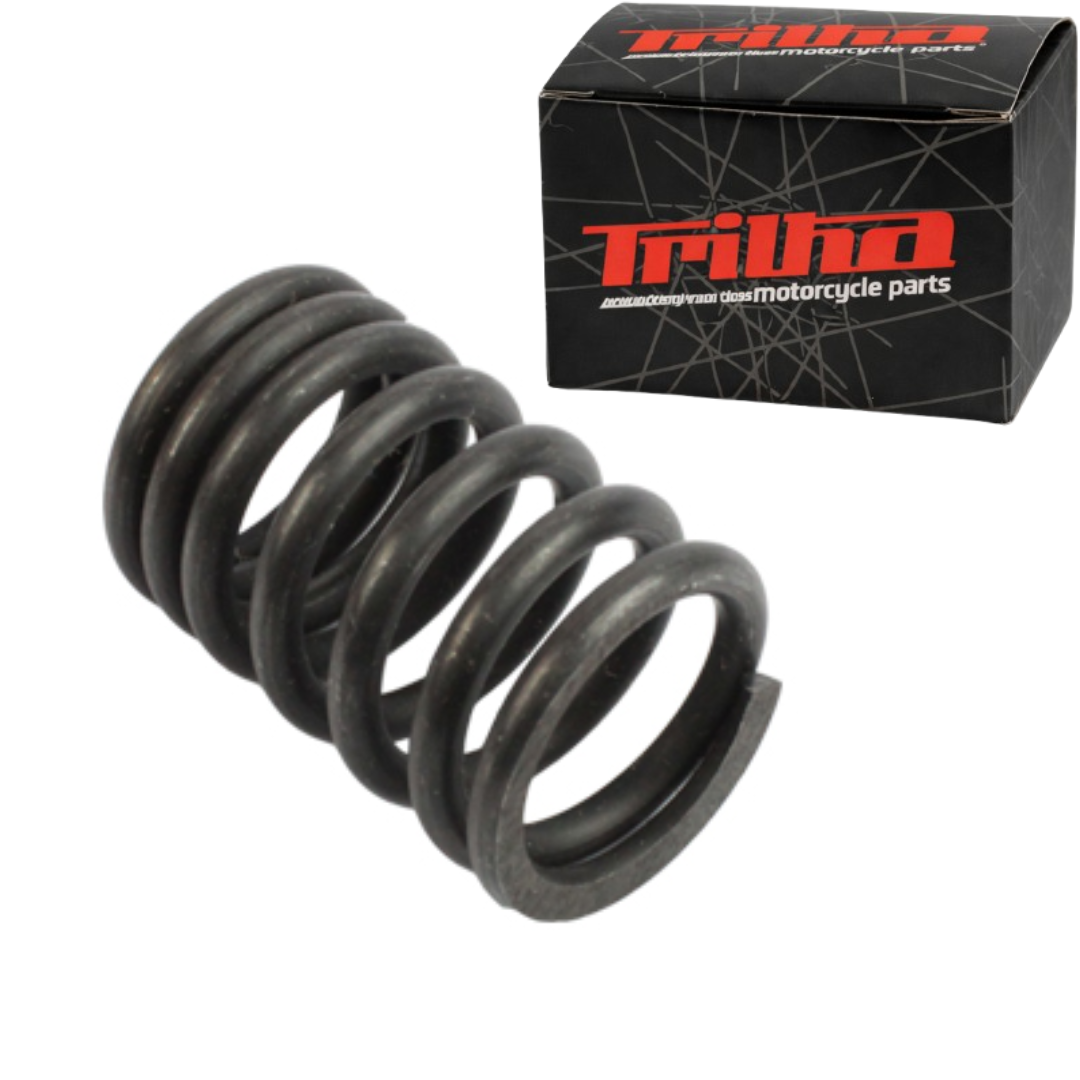 69008de1f1c0e4669d02c81e5c516eb0.png Mola Externa Da Valvula TITAN-FAN-START-NXR160 XRE190 16-22 - Imagem 1