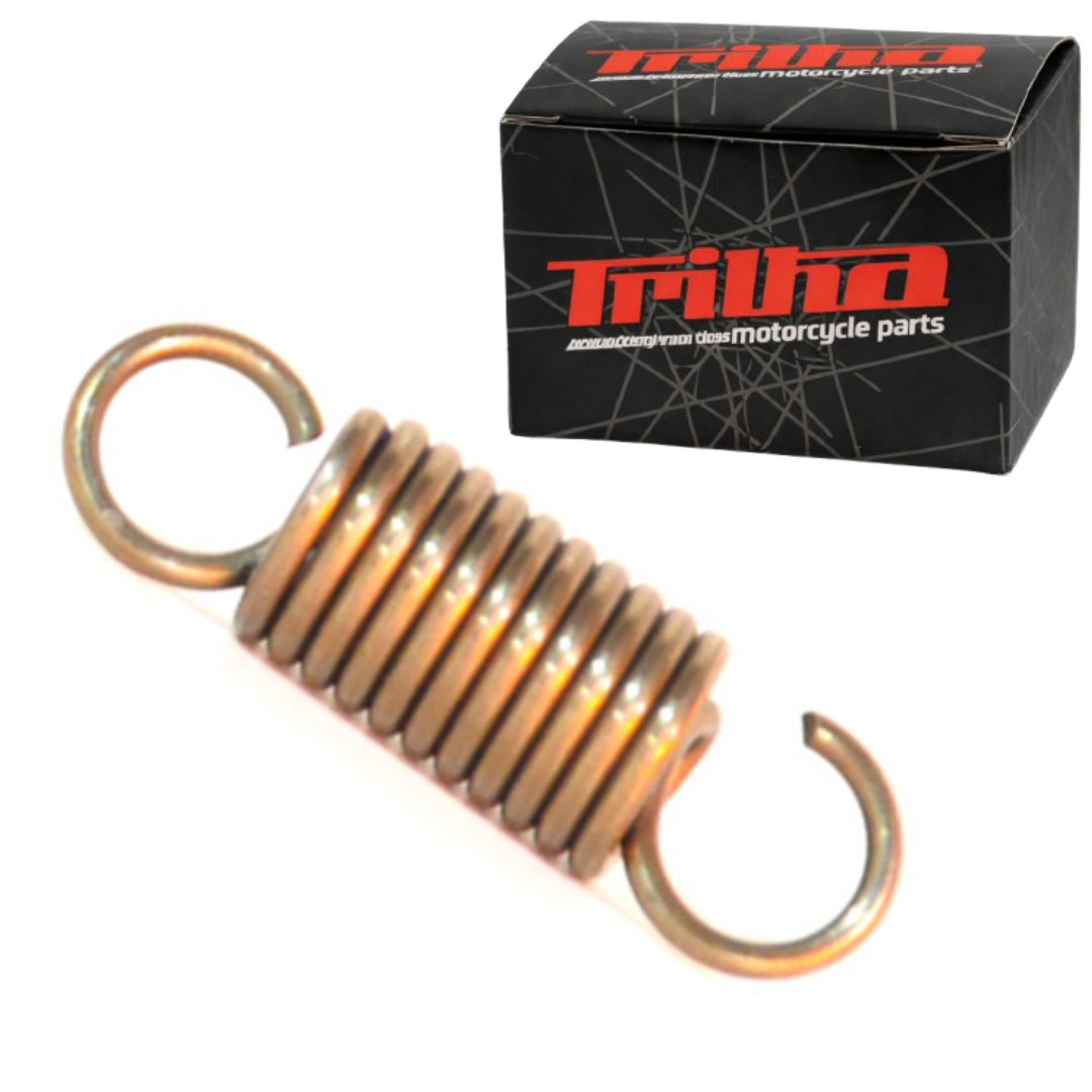 71566d7c25f19ed9c0ba5e98f757877c.png Mola Da Sapata Do Freio BIZ TITAN TODAY XLR NXR CBX CB PCX - Imagem 1