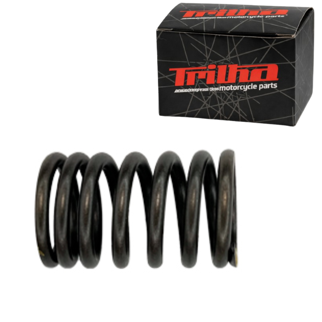 908ddfe1638ba8ce14a04d61f1259a65.png Mola Externa Da Valvula TORNADO-TWISTER250 CB300R XRE300 - Imagem 1