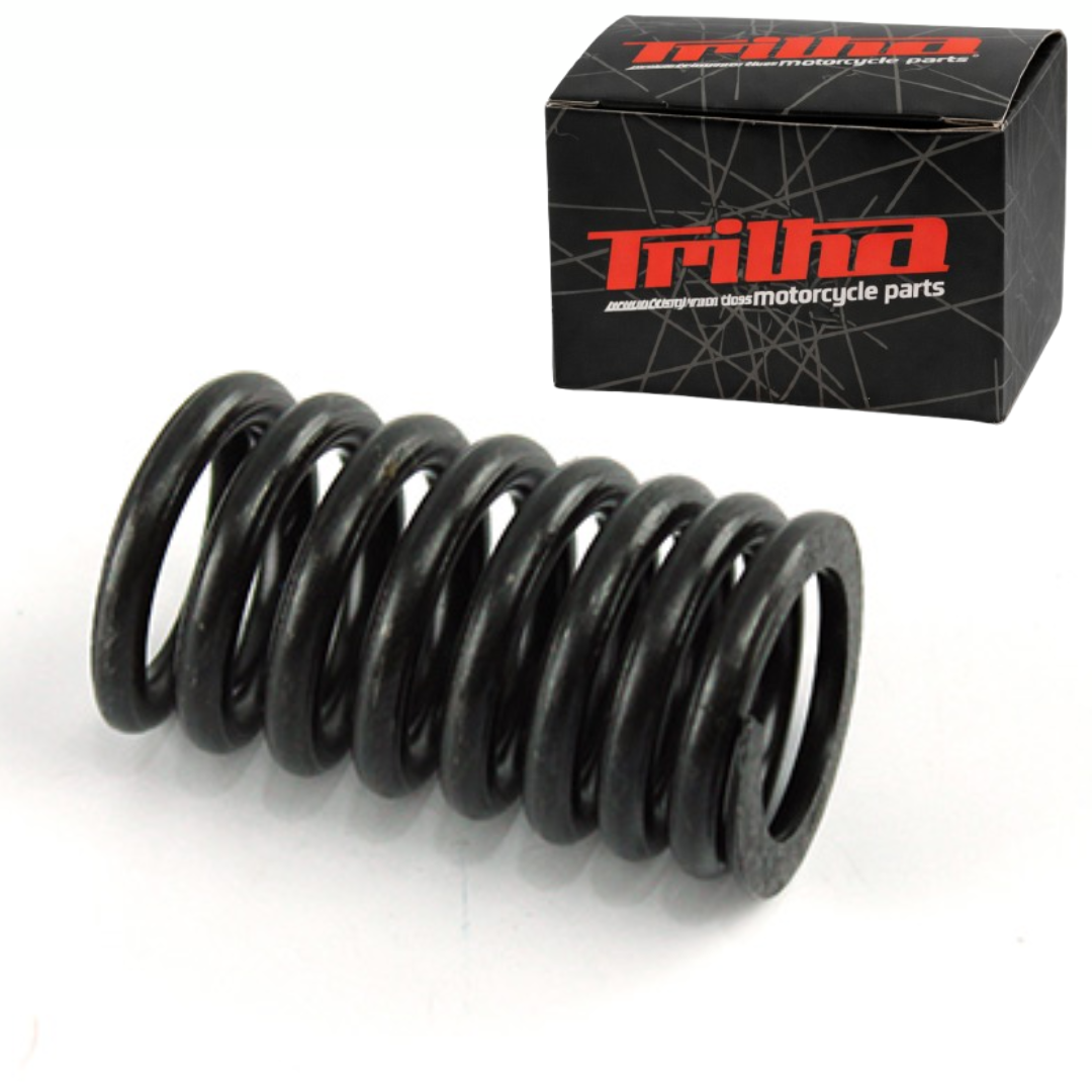 95965874697b34fd64a5a68555a8ca72.png Mola Externa Da Valvula FAN-START150 NXR150 CRF150 TITAN150 - Imagem 1