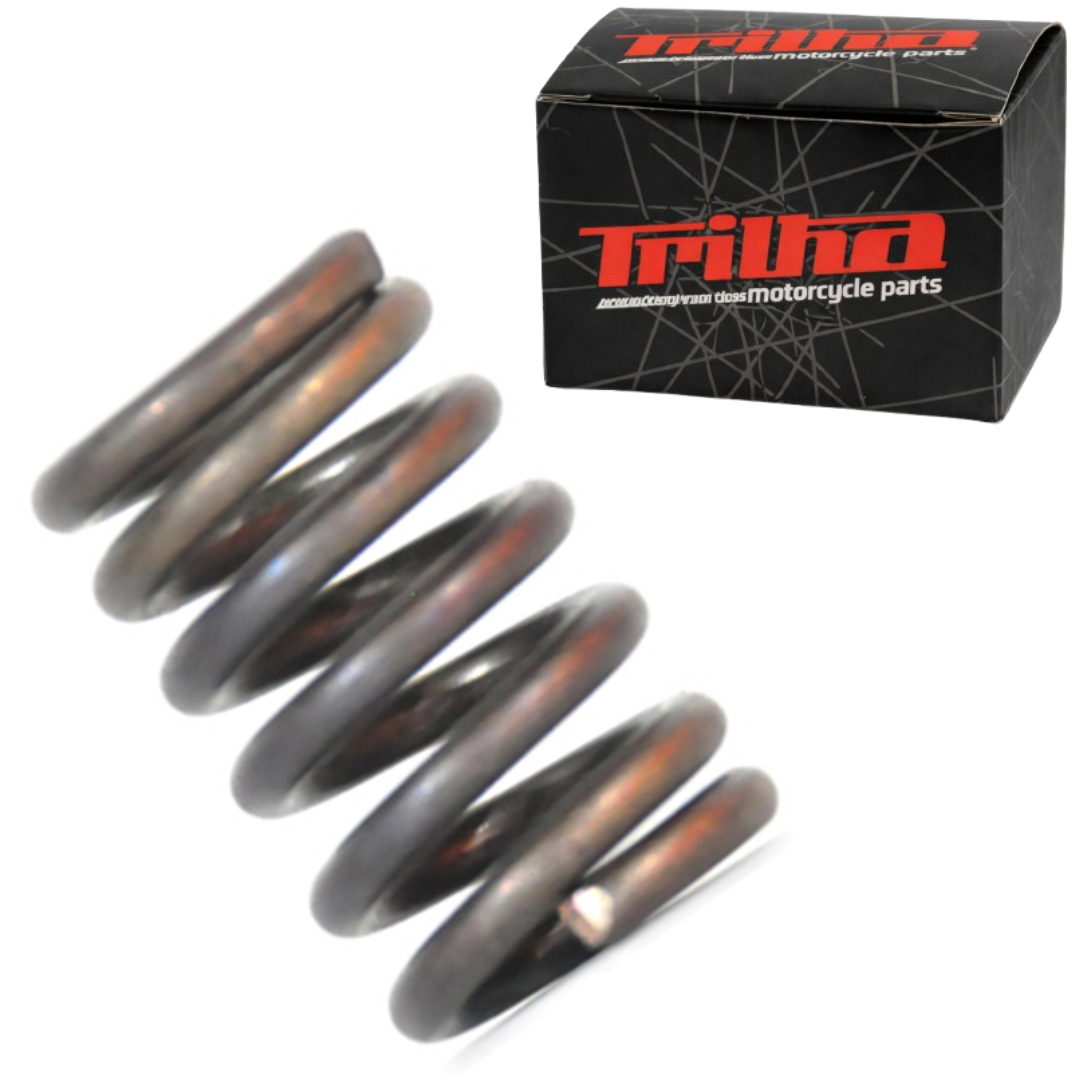 c4169696a1d3ddbea5f6646ced54892f.png Mola Do Batente Do Garfo Dianteiro FAN-START-TITAN150/160 - Imagem 1