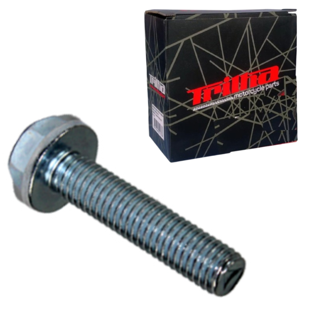 59323a7b3e60e946fbe5dc3061534ddb.png Parafuso Flange 8X35 Fixação Mesa Inferior Suspensão - Nxr/Titan - Imagem 1