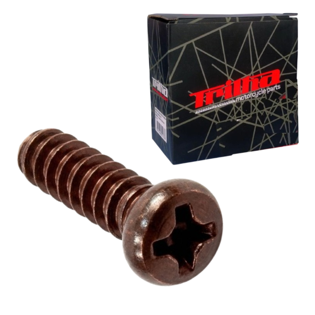 7b6486bcfa6966a6d36a3517f2a16deb.png Parafuso Atarraxante 3X12 Lente Do Pisca - Bros/Xlr/Xr - Imagem 1
