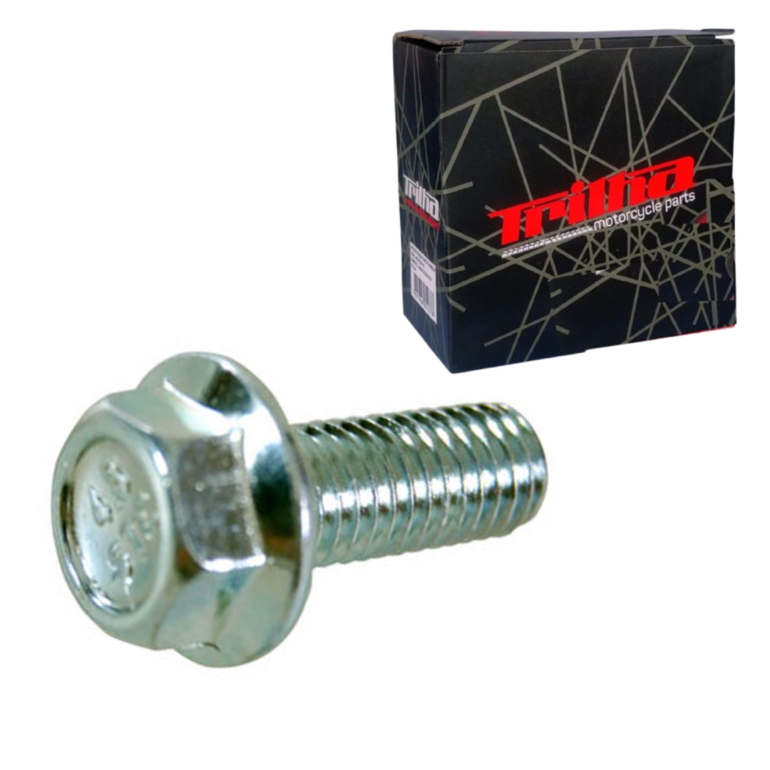 b4dcbd242c43026feb015a5e9cf72912.png Parafuso Flange 8X20 Fixação Estribo - Titan/Fan/Today - Imagem 1